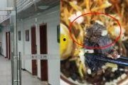 小小集团2破产人生中文版免费下载 